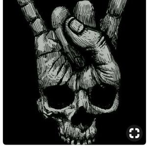 Meet your Posher, Raven